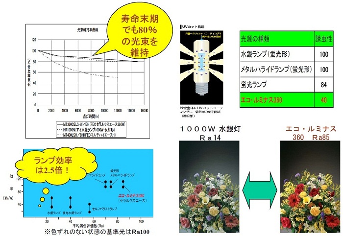エコルミナス ランプの特性