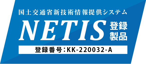 NETIS